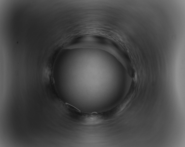 X0000088610235200705251227