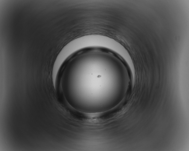 X0000088610237200705251227