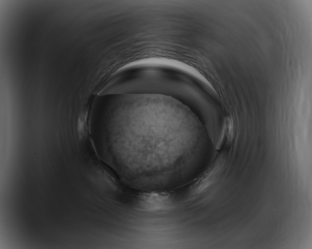 X0000088610239200705251227