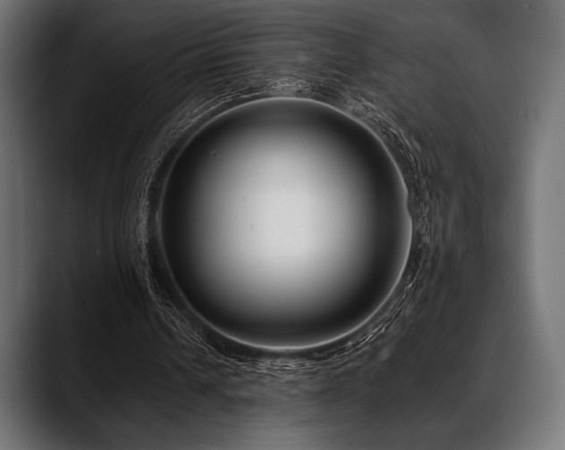 X0000088610242200705251226