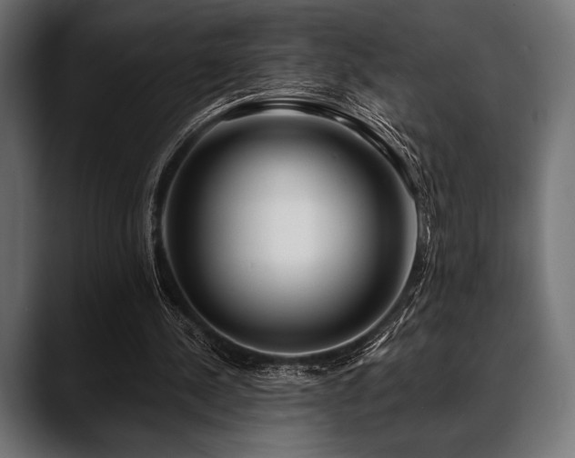 X0000088610244200705251226