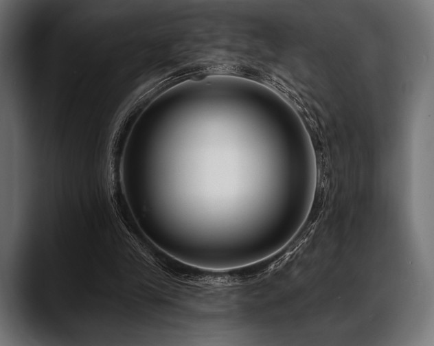 X0000088610245200705251226