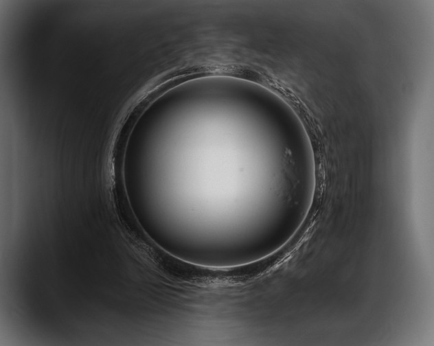 X0000088610246200705251226