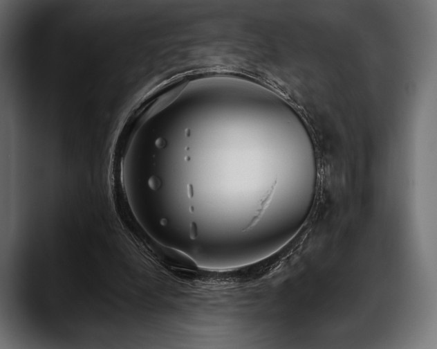 X0000088610248200705251226