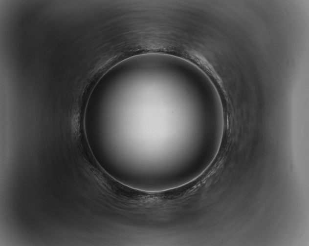 X0000088610249200705251227