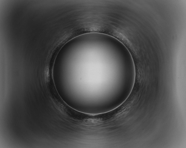 X0000088610251200705251227