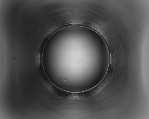 X0000088610253200705251227