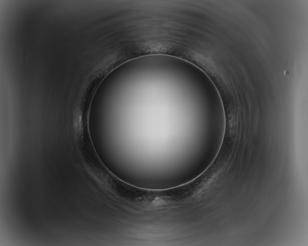 X0000088610254200705251227