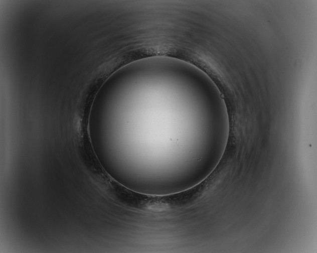 X0000088610258200705251227