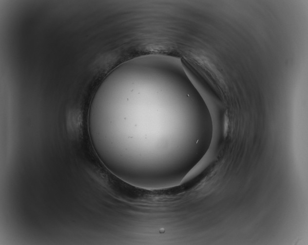 X0000088610260200705251227