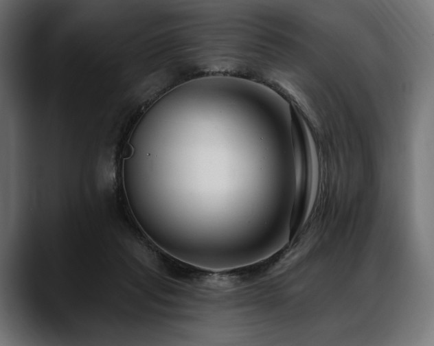 X0000088610261200705251227