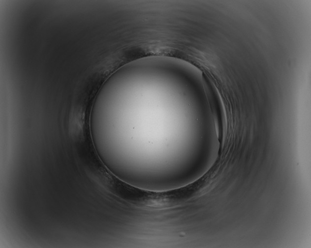 X0000088610263200705251227