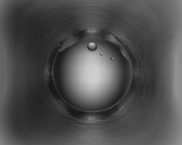 X0000088610264200705251227