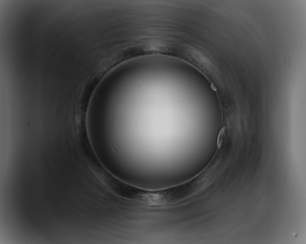 X0000088610265200705251227