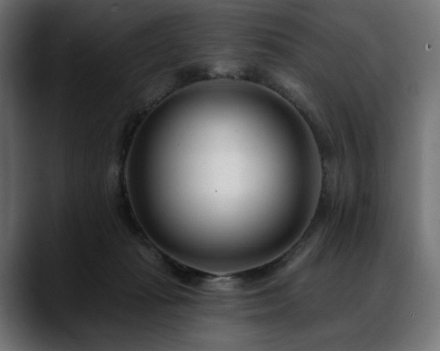 X0000088610269200705251227