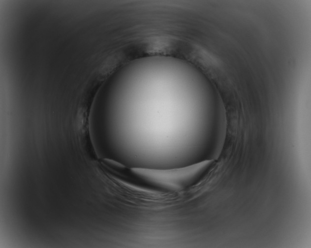 X0000088610273200705251227