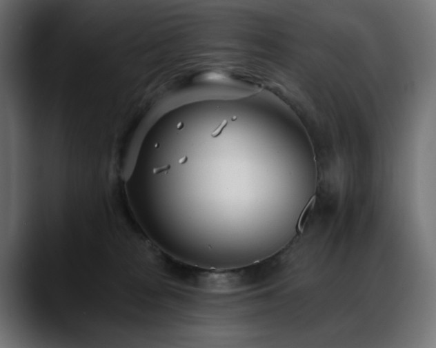 X0000088610277200705251227