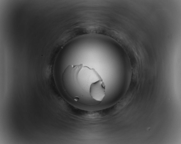 X0000088610278200705251227