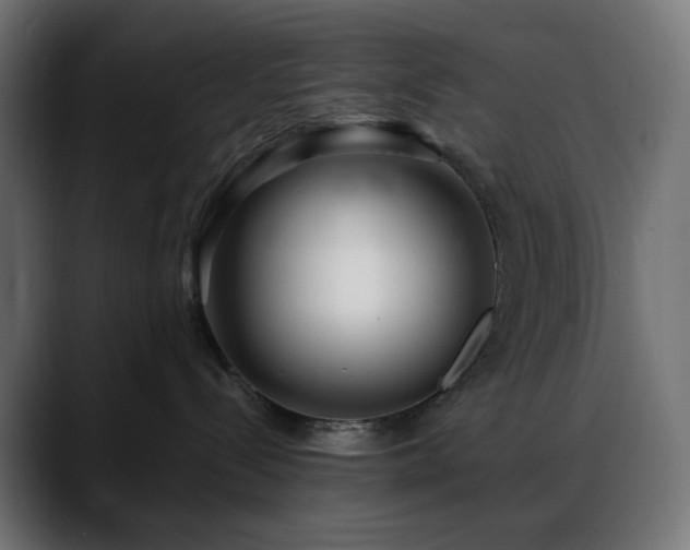 X0000088610288200705251227