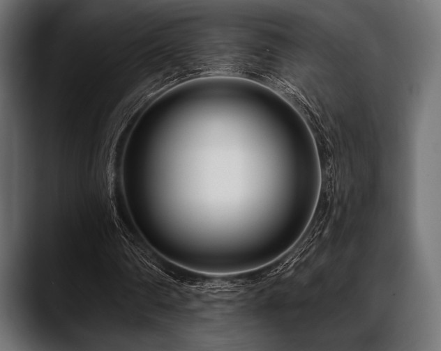 X0000088610290200705251226