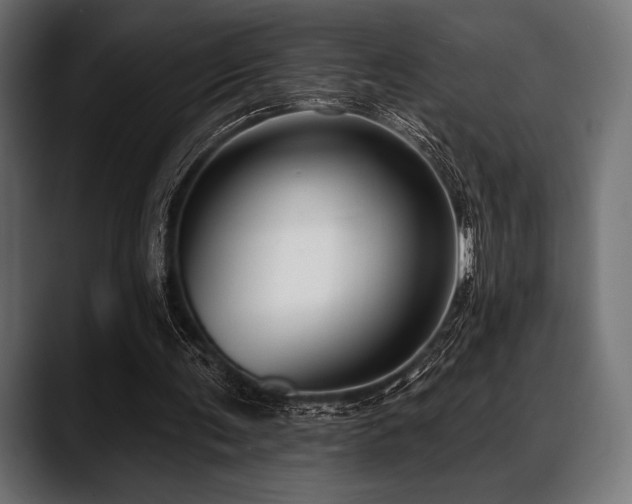 X0000088610291200705251226