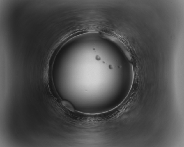 X0000088610292200705251226