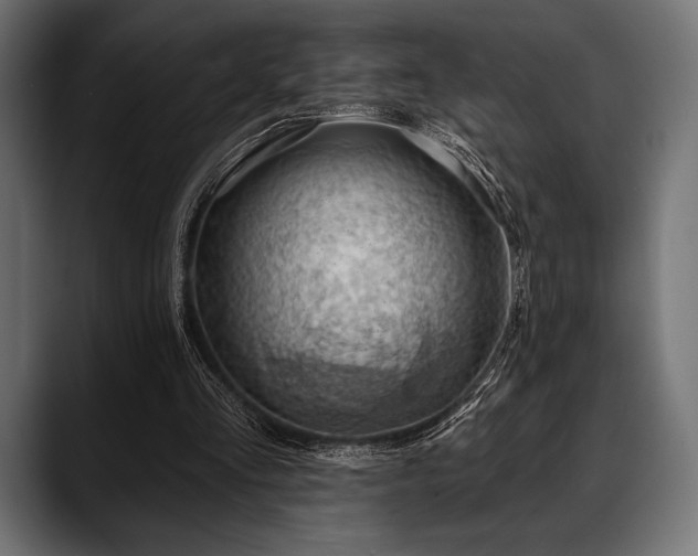 X0000088610293200705251226