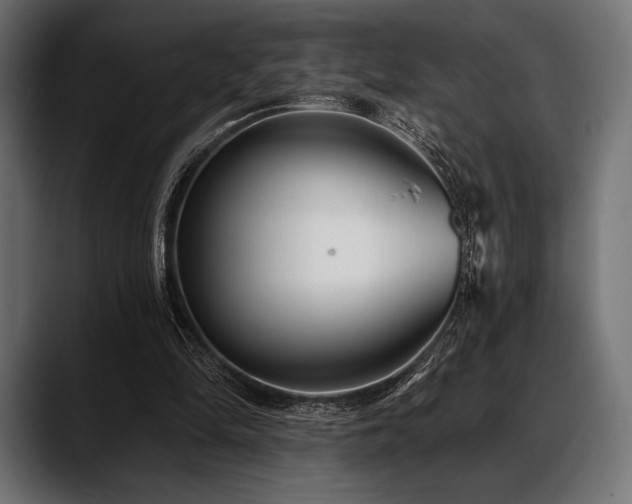 X0000088610294200705251226