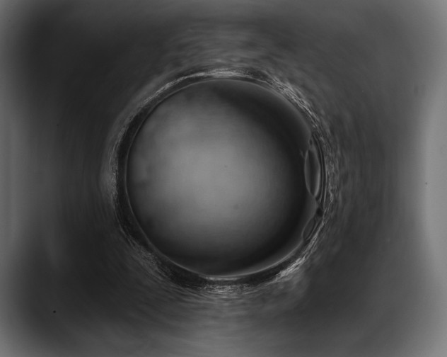 X0000088610295200705251226