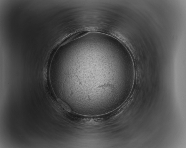 X0000088610297200705251226