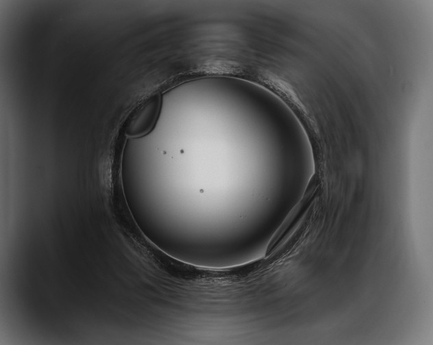 X0000088610299200705251226