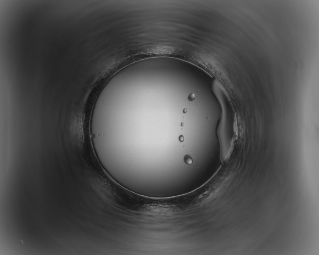 X0000088610300200705251226