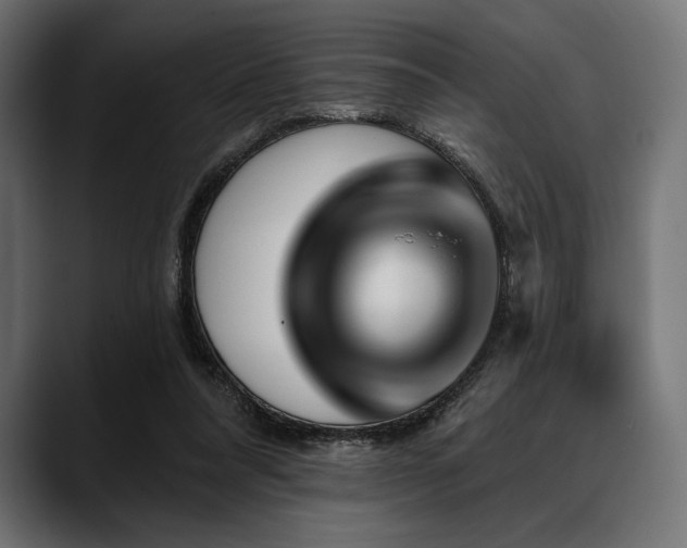 X0000088610304200705251226