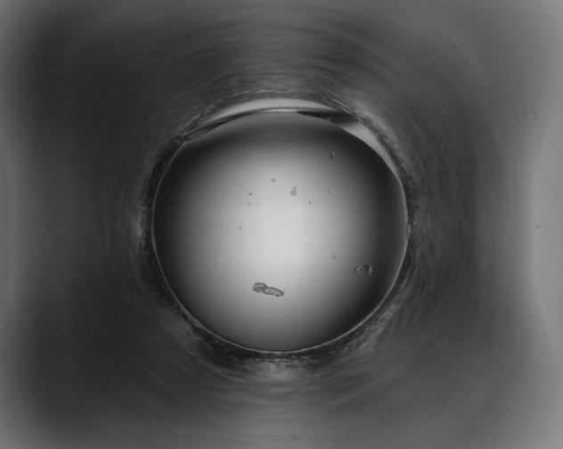 X0000088610305200705251226