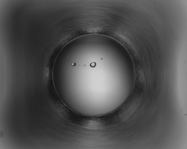 X0000088610308200705251226