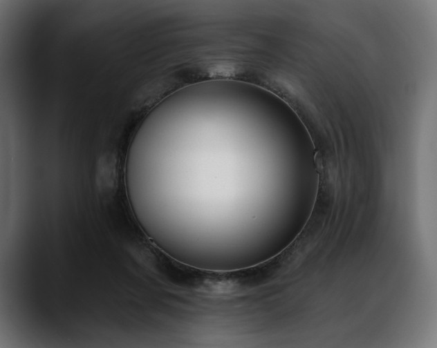 X0000088610311200705251226