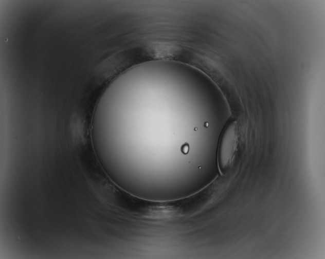 X0000088610316200705251226