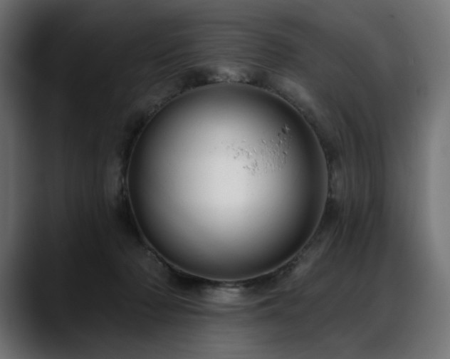 X0000088610318200705251226