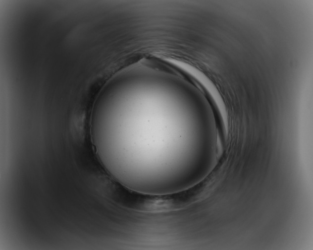 X0000088610319200705251226