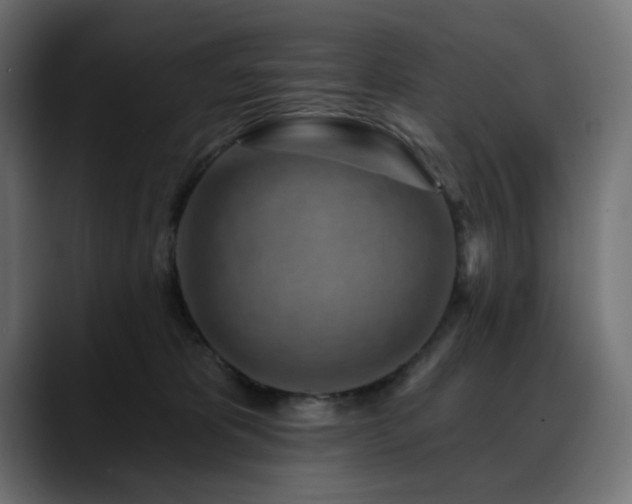 X0000088610325200705251226