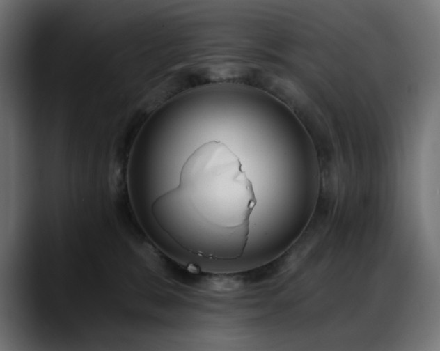 X0000088610327200705251226