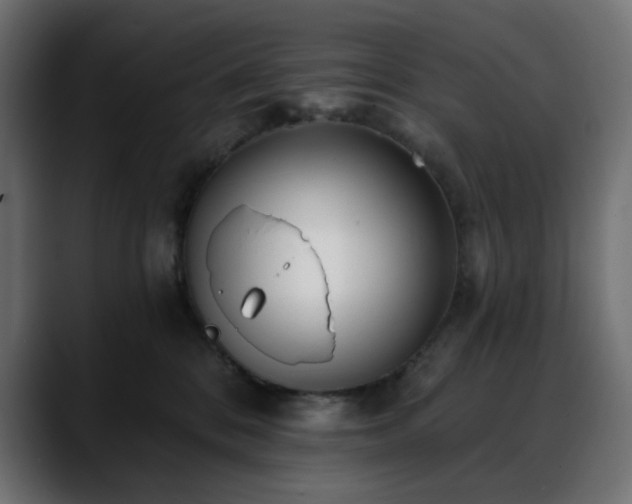 X0000088610328200705251226