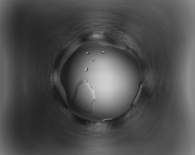 X0000088610329200705251226