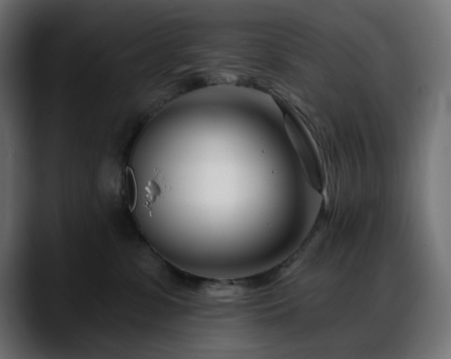 X0000088610331200705251226