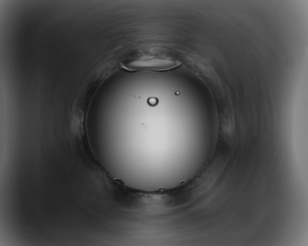 X0000088610332200705251226