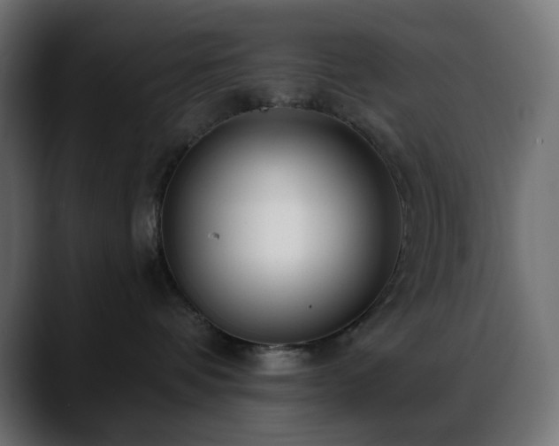 X0000088610336200705251226