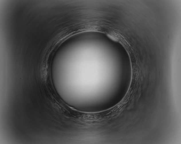 X0000088610338200705251225