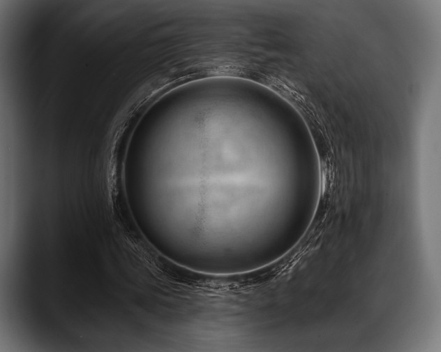 X0000088610339200705251225