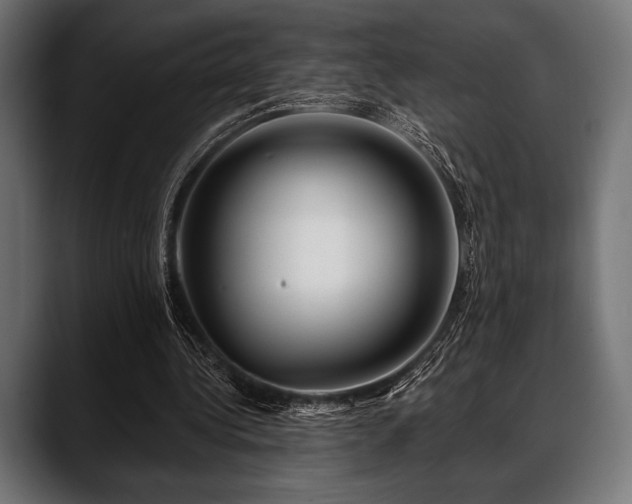 X0000088610340200705251225