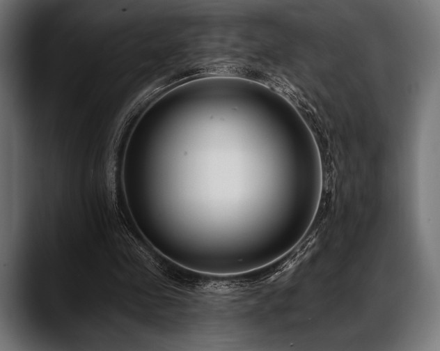 X0000088610341200705251225